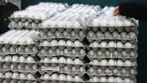 미국산 달걀 유통에도 한판 가격 7천 원 돌파…하루 새 7%↑