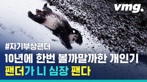 팬더가 심장 팬다&hellip;2년만에 '눈' 내리자 개인기 작렬한 미국물 판다