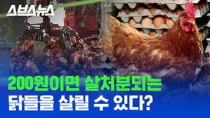달걀값 폭등 원인 조류인플루엔자, 사실은 백신 있다?