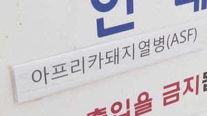 김 총리, 돼지열병 발생에 긴급 지시&hellip;"초동방역 만전"