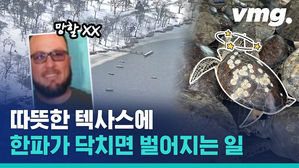 텍사스 원래 따뜻한 곳 아냐? 30년 만의 한파가 가져온 극심한 피해들