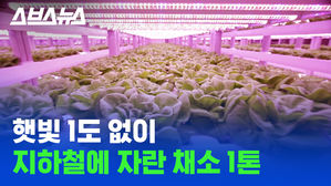 하다 하다 지하철역에 농사짓는 한국 (ft.상도역)