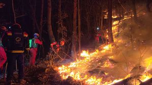 강원 정선군 산불…강풍·급경사로 진화 어려워