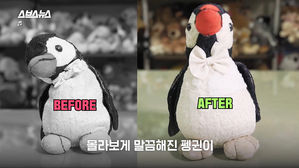 '토이 스토리 현실판' 인형 병원 다녀와봤습니다!