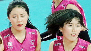 흥국생명 '학폭' 이재영 · 다영 자매 등록 예정