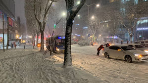 [취재파일] 기후변화로 기온 들쭉날쭉했던 겨울…올봄은?