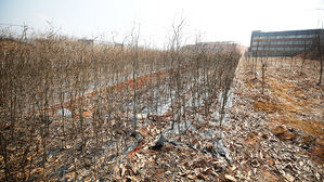 '시흥 부동산 의혹' 김경만 "매매계약 완결&hellip;전액 기부했다"