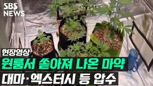 관련 이미지