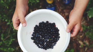 [인-잇] 'LH 사태'를 본 우리는 왜 불행해질까?