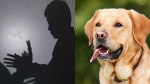 지적장애 여성 성폭행 후 도주 시도&hellip;바짓자락 붙든 반려견