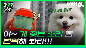 [궁긁적본능3] 개소리도 번역이 되나요