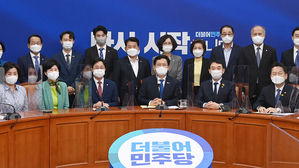 더불어민주당