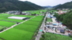 '이장세' 징수 주민 반발&middot;말썽&hellip;고흥군, 전면 금지하기로