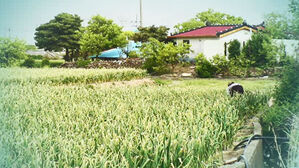 사과 키우러 강원도 산골로&hellip;아열대 위기 온다