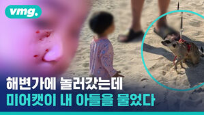 '망보기 대장' 미어캣, 귀엽기만 한 건 아니랍니다?