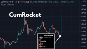 머스크, 노골적인 '음란 트윗'&hellip;성인물 가상화폐 350% 폭등
