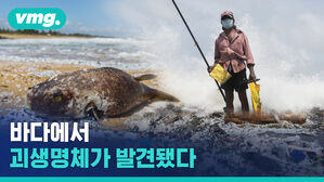 화물선 화재가 불러온 대참사, 스리랑카 최악의 해양 오염으로 번졌다