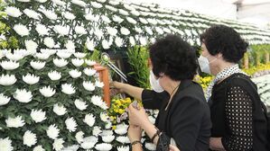 '광주 건물 붕괴 참사' 유가족, 부검 동의&hellip;내일부터 발인