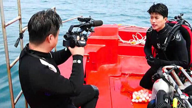 한성희 뉴미 선출고