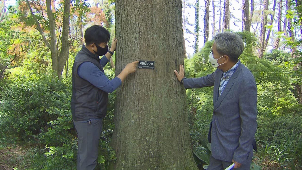 [취재파일] '3백년 뒤를 본다