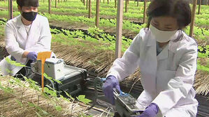 기후온난화 &middot; 일손부족&hellip;위기의 농업, 돌파구 찾는다