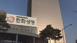 대형 보험사들, 보험계약대출 가산금리 줄줄이 인하한다