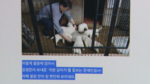 전여옥 "文, 철창 안이 편해 보여"&hellip;與 "독설 아닌 배설"