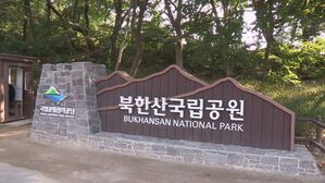 도봉구 놀이터에 멧돼지 6마리 출몰&hellip;감염 우려로 모두 사살