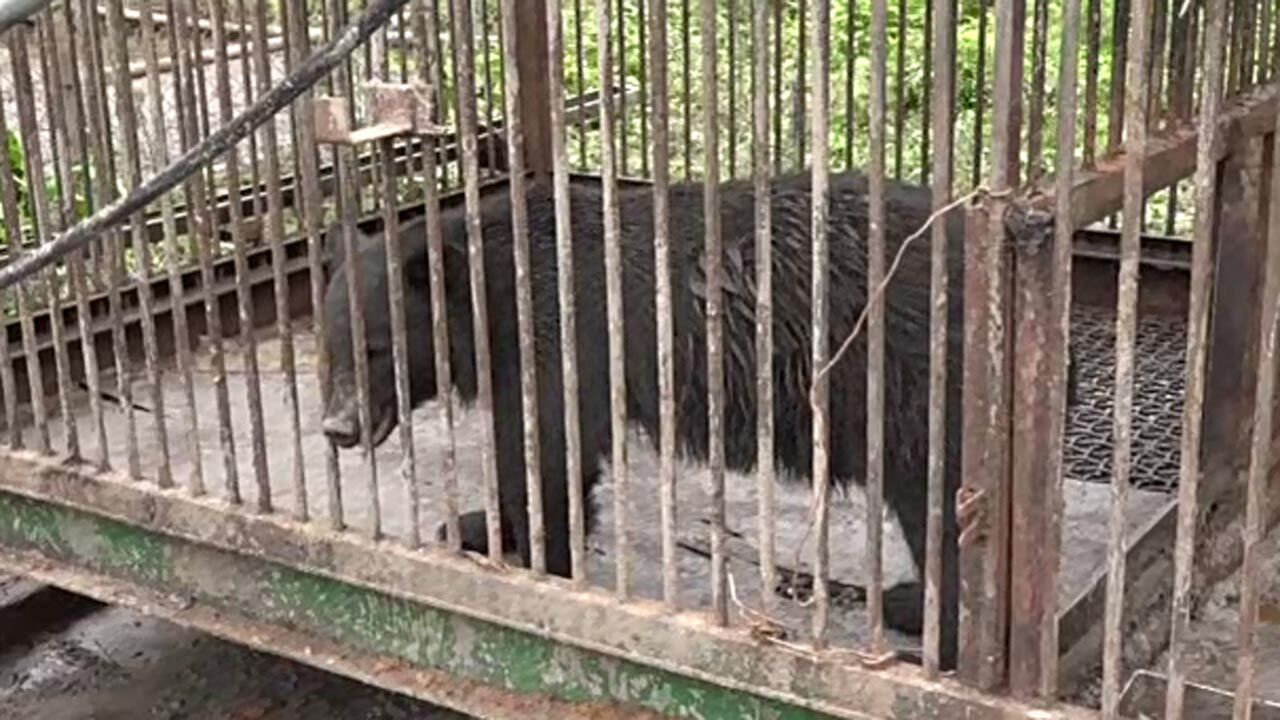 [취재파일] 같은 하늘 아래 같은 곰인데…운명은 천차만별