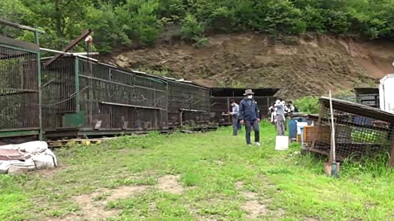 [취재파일] 같은 하늘 아래 같은 곰인데…운명은 천차만별