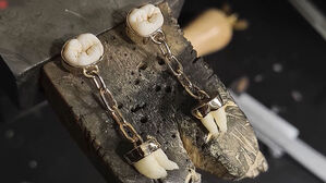 빛나는 목걸이, 그 안에 '치아'?&hellip;사람들이 찾는 이유