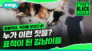 [STUDIO BLACK] 다리 절단에 올가미까지&hellip;고양이 학대 사건의 현장