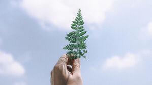 [인-잇] 내가 건넨 배려 한 조각, 누군가에겐 평생 행복입니다