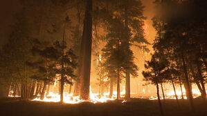 미 서부지역서 항공기 연료 부족 우려&hellip;운항 지연 사태도