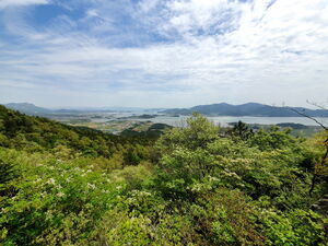[라이프] 길, 책을 만나다 ③ '인생이란 지금 이 순간, 내 곁에 있는 바로 그것' - 해남 달마고도
