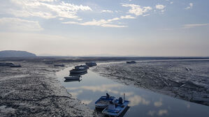 [포토] 이제는 세계유산…한국 갯벌의 아름다운 장면들