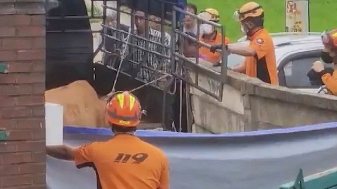 전북 전주 덕진구 화전동 소탈출