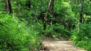 [라이프] 길, 책을 만나다 ④ 고독, 그리고 외로움 - 소양강 둘레길, 하늘길, 내린길