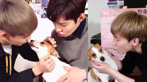 [SBS Star] BTOB Staff's Dog Only Dislikes Seo Eunkwang?