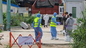 홍천 돼지농장서 아프리카돼지열병 발생&hellip;이달 들어 3번째