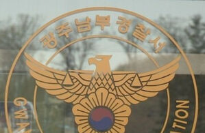 휴대전화 보다가 신호수 치어 숨지게 한 화물차 운전자