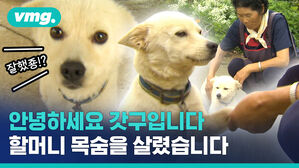 실종된 치매 할머니 구한 반려견, 은혜 갚은 '백구'를 아시나요?