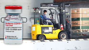 모더나 600만 회분 주말까지&hellip;접종 '4주 간격' 검토