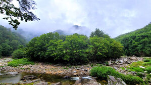 [라이프] 길, 책을 만나다 ⑥ '걷기, 자기 자신에게로 향하는 여정' - 홍천, '용소계곡 숲길'