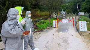 김 총리, 강원 아프리카돼지열병에 "초동방역 만전" 긴급 지시