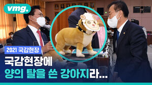 대장동에서 왔다는 '대똥이' 인형에 국정감사가 중단됐다