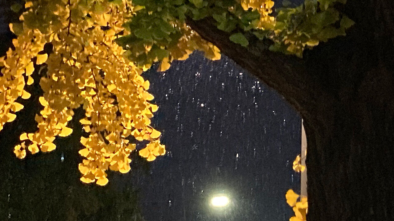 서울 새벽 첫눈 (사진=연합뉴스)
