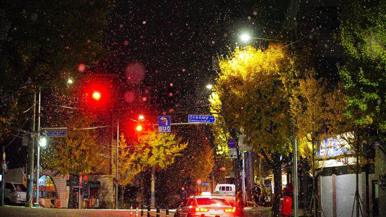 서울 새벽 첫눈 (사진=연합뉴스)