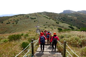 [라이프] 길, 책을 만나다 ⑧ 굽이치는 바람이여! 억새여! - 영남알프스 '하늘 억새길'