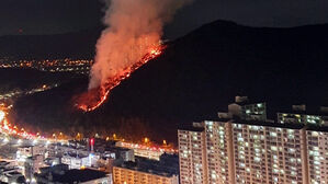 부산 아파트 인근 야산서 불 (사진=부산경찰청 제공, 연합뉴스)